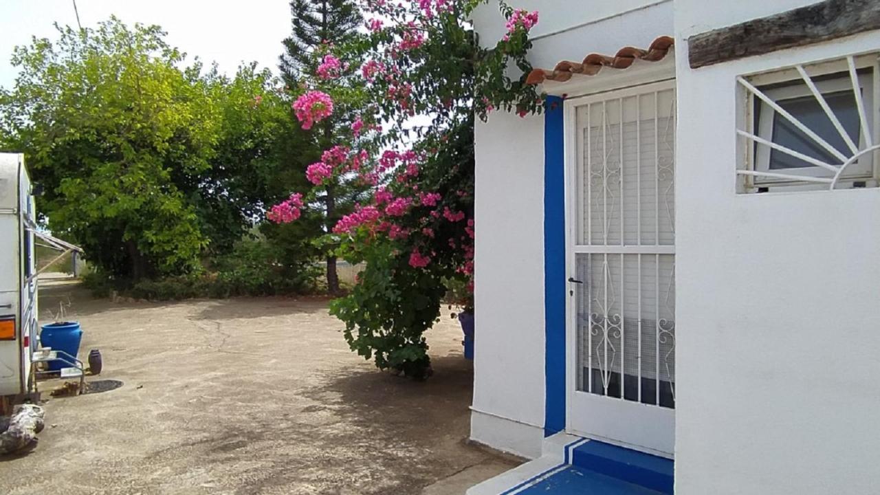 توريبلانكا Finca La Joya المظهر الخارجي الصورة