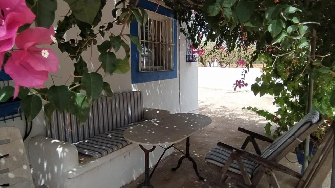 توريبلانكا Finca La Joya المظهر الخارجي الصورة