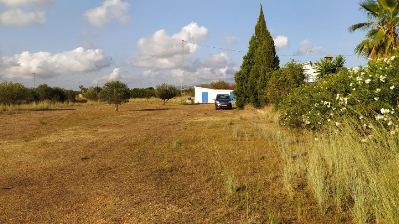 توريبلانكا Finca La Joya المظهر الخارجي الصورة