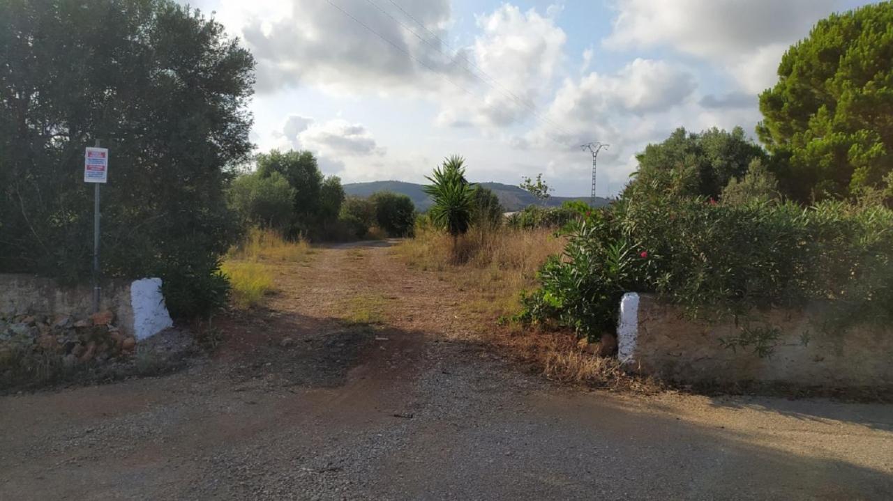 توريبلانكا Finca La Joya المظهر الخارجي الصورة