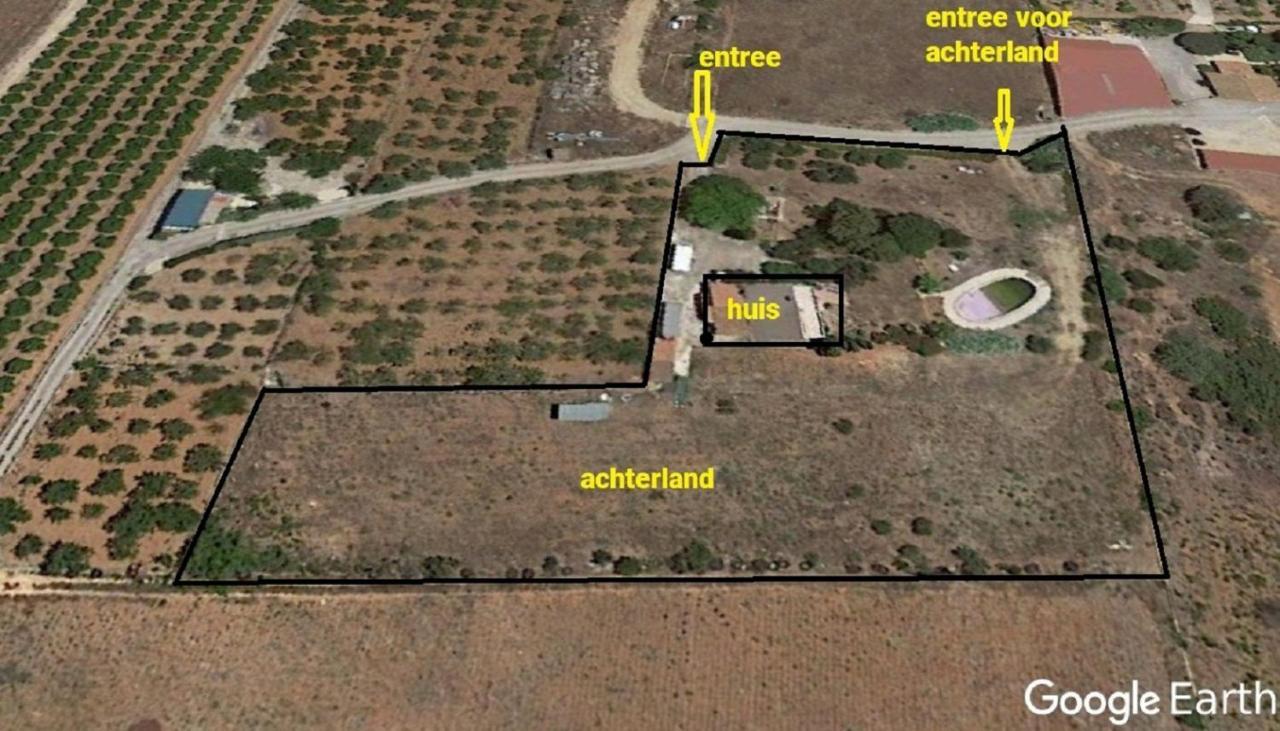 توريبلانكا Finca La Joya المظهر الخارجي الصورة